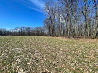 Property photo 12 - LAND AUCTION 85+/- ACRES OFFERED IN 7 TRACTS OR IN COMBINATIONS IN NOBLE COUNTY, IN