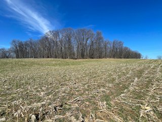 Property photo 11 - LAND AUCTION 85+/- ACRES OFFERED IN 7 TRACTS OR IN COMBINATIONS IN NOBLE COUNTY, IN