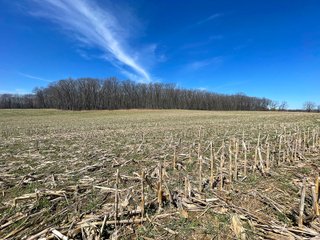 Property photo 10 - LAND AUCTION 85+/- ACRES OFFERED IN 7 TRACTS OR IN COMBINATIONS IN NOBLE COUNTY, IN