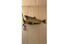 Property photo 14 - ONLINE ONLY PERSONAL PROPERTY AUCTION IN ALLEN COUNTY, IN