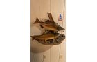 Property photo 44 - ONLINE ONLY PERSONAL PROPERTY AUCTION IN ALLEN COUNTY, IN