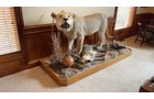 Property photo 1 - ONLINE ONLY PERSONAL PROPERTY AUCTION IN ALLEN COUNTY, IN