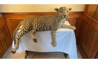Property photo 2 - ONLINE ONLY PERSONAL PROPERTY AUCTION IN ALLEN COUNTY, IN