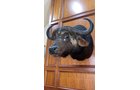 Property photo 3 - ONLINE ONLY PERSONAL PROPERTY AUCTION IN ALLEN COUNTY, IN