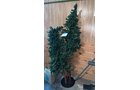 Property photo 245 - ONLINE ONLY PERSONAL PROPERTY AUCTION IN ALLEN COUNTY, IN