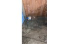 Property photo 249 - ONLINE ONLY PERSONAL PROPERTY AUCTION IN ALLEN COUNTY, IN