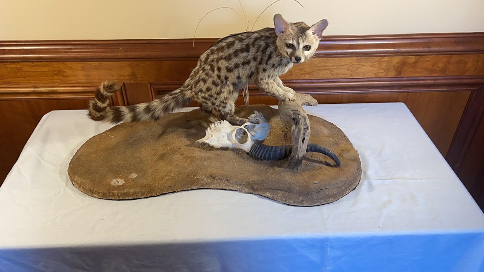 Property photo 4 - ONLINE ONLY PERSONAL PROPERTY AUCTION IN ALLEN COUNTY, IN