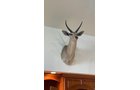 Property photo 273 - ONLINE ONLY PERSONAL PROPERTY AUCTION IN ALLEN COUNTY, IN