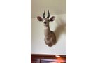 Property photo 277 - ONLINE ONLY PERSONAL PROPERTY AUCTION IN ALLEN COUNTY, IN