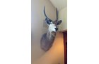 Property photo 279 - ONLINE ONLY PERSONAL PROPERTY AUCTION IN ALLEN COUNTY, IN
