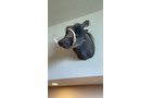 Property photo 283 - ONLINE ONLY PERSONAL PROPERTY AUCTION IN ALLEN COUNTY, IN