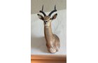 Property photo 285 - ONLINE ONLY PERSONAL PROPERTY AUCTION IN ALLEN COUNTY, IN