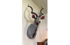 Property photo 286 - ONLINE ONLY PERSONAL PROPERTY AUCTION IN ALLEN COUNTY, IN