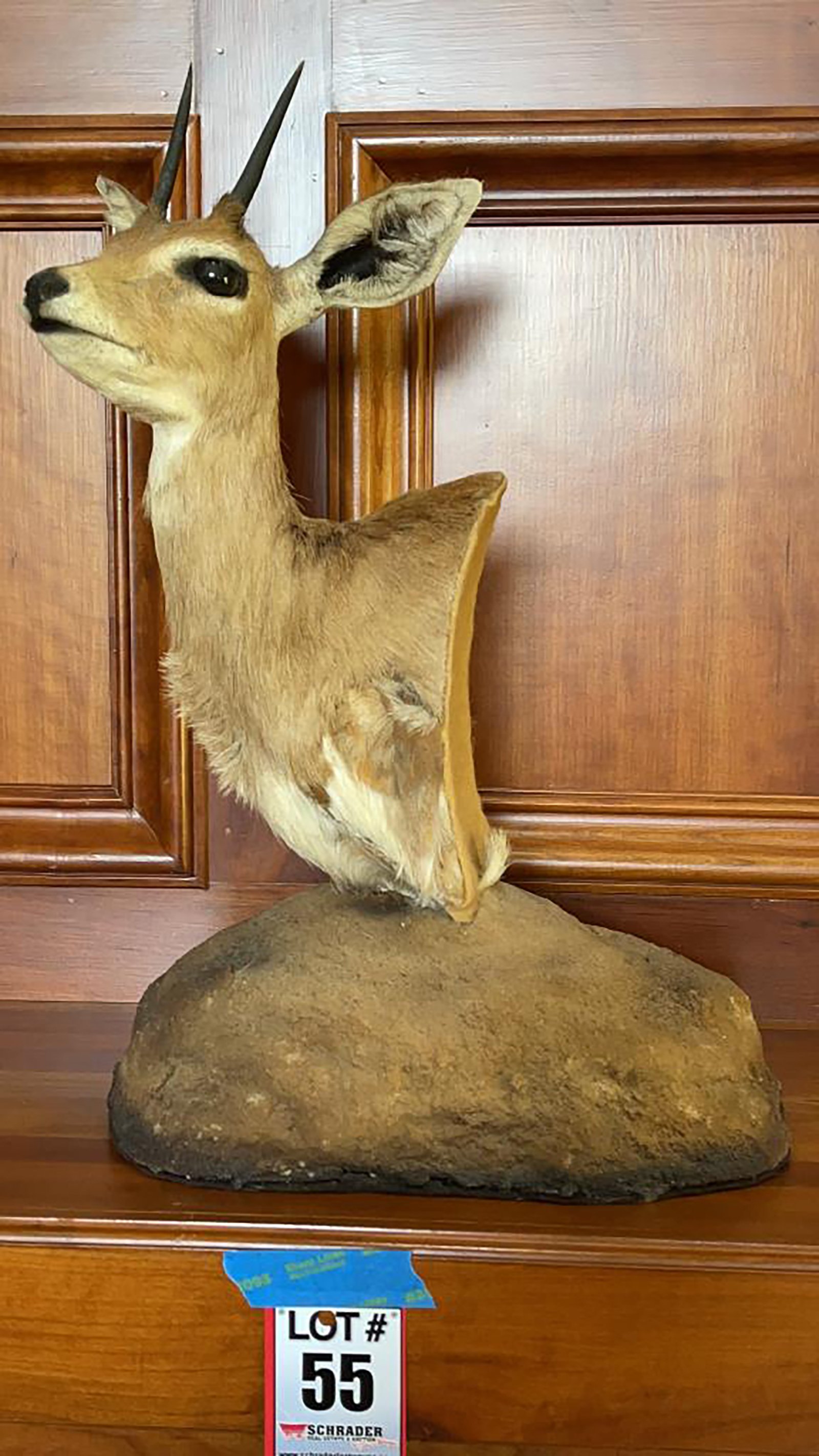 Property photo 288 - ONLINE ONLY PERSONAL PROPERTY AUCTION IN ALLEN COUNTY, IN