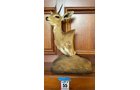 Property photo 288 - ONLINE ONLY PERSONAL PROPERTY AUCTION IN ALLEN COUNTY, IN