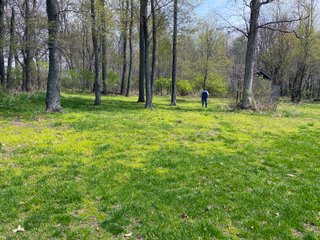 Property photo 22 - LAND AUCTION - 30+/- ACRES OFFERED IN 4 TRACTS OR IN COMBINATIONS IN NOBLE COUNTY, INDIANA