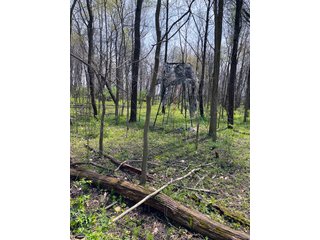 Property photo 24 - LAND AUCTION - 30+/- ACRES OFFERED IN 4 TRACTS OR IN COMBINATIONS IN NOBLE COUNTY, INDIANA