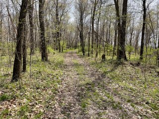 Property photo 27 - LAND AUCTION - 30+/- ACRES OFFERED IN 4 TRACTS OR IN COMBINATIONS IN NOBLE COUNTY, INDIANA