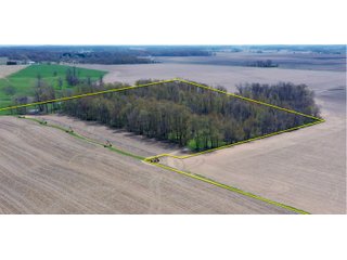 Property photo 3 - LAND AUCTION - 30+/- ACRES OFFERED IN 4 TRACTS OR IN COMBINATIONS IN NOBLE COUNTY, INDIANA