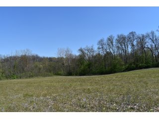 Property photo 69 - IMPORTANT LAND AUCTION 302+/- ACRES OFFERED IN 9 TRACTS OR COMBINATIONS IN WHITLEY AND KOSCIUSKO COUNTIES, IN