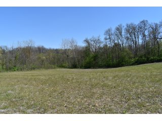 Property photo 70 - IMPORTANT LAND AUCTION 302+/- ACRES OFFERED IN 9 TRACTS OR COMBINATIONS IN WHITLEY AND KOSCIUSKO COUNTIES, IN