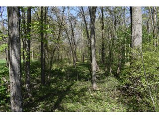 Property photo 75 - IMPORTANT LAND AUCTION 302+/- ACRES OFFERED IN 9 TRACTS OR COMBINATIONS IN WHITLEY AND KOSCIUSKO COUNTIES, IN