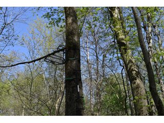 Property photo 79 - IMPORTANT LAND AUCTION 302+/- ACRES OFFERED IN 9 TRACTS OR COMBINATIONS IN WHITLEY AND KOSCIUSKO COUNTIES, IN