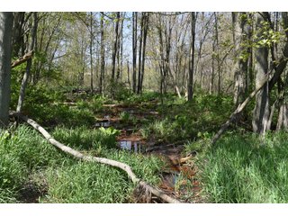 Property photo 84 - IMPORTANT LAND AUCTION 302+/- ACRES OFFERED IN 9 TRACTS OR COMBINATIONS IN WHITLEY AND KOSCIUSKO COUNTIES, IN