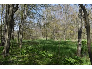 Property photo 85 - IMPORTANT LAND AUCTION 302+/- ACRES OFFERED IN 9 TRACTS OR COMBINATIONS IN WHITLEY AND KOSCIUSKO COUNTIES, IN