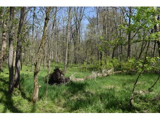 Property photo 88 - IMPORTANT LAND AUCTION 302+/- ACRES OFFERED IN 9 TRACTS OR COMBINATIONS IN WHITLEY AND KOSCIUSKO COUNTIES, IN