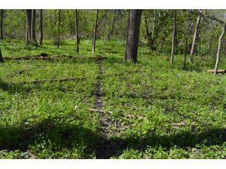 Property photo 91 - IMPORTANT LAND AUCTION 302+/- ACRES OFFERED IN 9 TRACTS OR COMBINATIONS IN WHITLEY AND KOSCIUSKO COUNTIES, IN