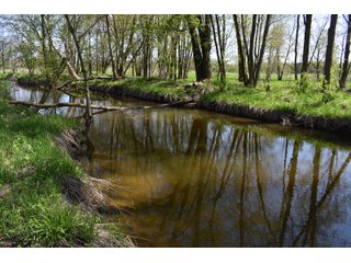 Property photo 92 - IMPORTANT LAND AUCTION 302+/- ACRES OFFERED IN 9 TRACTS OR COMBINATIONS IN WHITLEY AND KOSCIUSKO COUNTIES, IN