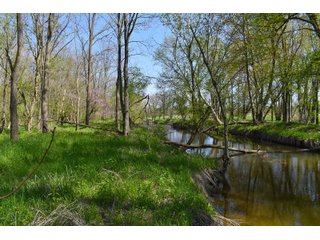Property photo 93 - IMPORTANT LAND AUCTION 302+/- ACRES OFFERED IN 9 TRACTS OR COMBINATIONS IN WHITLEY AND KOSCIUSKO COUNTIES, IN