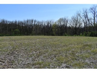 Property photo 96 - IMPORTANT LAND AUCTION 302+/- ACRES OFFERED IN 9 TRACTS OR COMBINATIONS IN WHITLEY AND KOSCIUSKO COUNTIES, IN