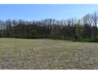 Property photo 97 - IMPORTANT LAND AUCTION 302+/- ACRES OFFERED IN 9 TRACTS OR COMBINATIONS IN WHITLEY AND KOSCIUSKO COUNTIES, IN