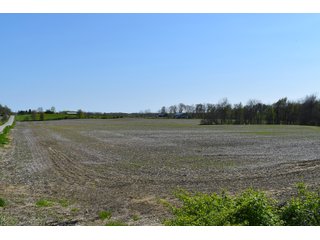 Property photo 99 - IMPORTANT LAND AUCTION 302+/- ACRES OFFERED IN 9 TRACTS OR COMBINATIONS IN WHITLEY AND KOSCIUSKO COUNTIES, IN