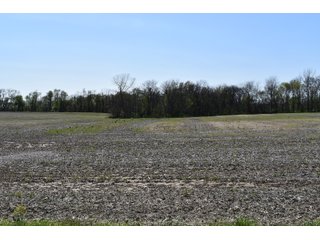 Property photo 106 - IMPORTANT LAND AUCTION 302+/- ACRES OFFERED IN 9 TRACTS OR COMBINATIONS IN WHITLEY AND KOSCIUSKO COUNTIES, IN