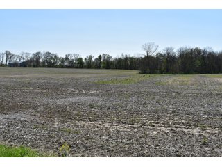 Property photo 107 - IMPORTANT LAND AUCTION 302+/- ACRES OFFERED IN 9 TRACTS OR COMBINATIONS IN WHITLEY AND KOSCIUSKO COUNTIES, IN