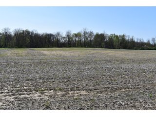 Property photo 108 - IMPORTANT LAND AUCTION 302+/- ACRES OFFERED IN 9 TRACTS OR COMBINATIONS IN WHITLEY AND KOSCIUSKO COUNTIES, IN