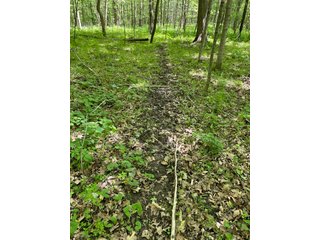 Property photo 110 - IMPORTANT LAND AUCTION 302+/- ACRES OFFERED IN 9 TRACTS OR COMBINATIONS IN WHITLEY AND KOSCIUSKO COUNTIES, IN