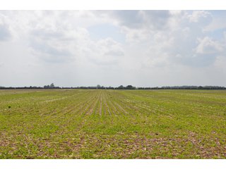 Property photo 90 - SPECTACULAR CROPLAND EASTERN INDIANA AUCTION 1,112 +/- ACRES OFFERED IN 13 TRACTS IN WAYNE AND UNION COUNTIES, INDIANA