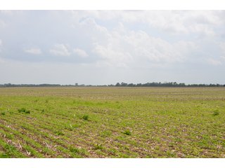 Property photo 91 - SPECTACULAR CROPLAND EASTERN INDIANA AUCTION 1,112 +/- ACRES OFFERED IN 13 TRACTS IN WAYNE AND UNION COUNTIES, INDIANA