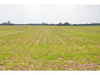 Property photo 92 - SPECTACULAR CROPLAND EASTERN INDIANA AUCTION 1,112 +/- ACRES OFFERED IN 13 TRACTS IN WAYNE AND UNION COUNTIES, INDIANA