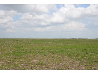 Property photo 93 - SPECTACULAR CROPLAND EASTERN INDIANA AUCTION 1,112 +/- ACRES OFFERED IN 13 TRACTS IN WAYNE AND UNION COUNTIES, INDIANA