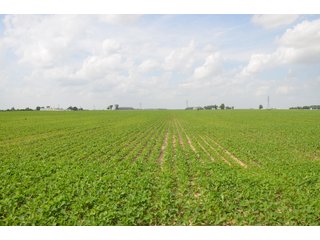 Property photo 95 - SPECTACULAR CROPLAND EASTERN INDIANA AUCTION 1,112 +/- ACRES OFFERED IN 13 TRACTS IN WAYNE AND UNION COUNTIES, INDIANA