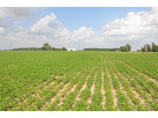 Property photo 96 - SPECTACULAR CROPLAND EASTERN INDIANA AUCTION 1,112 +/- ACRES OFFERED IN 13 TRACTS IN WAYNE AND UNION COUNTIES, INDIANA