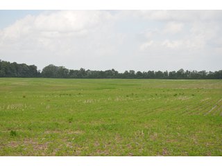 Property photo 101 - SPECTACULAR CROPLAND EASTERN INDIANA AUCTION 1,112 +/- ACRES OFFERED IN 13 TRACTS IN WAYNE AND UNION COUNTIES, INDIANA