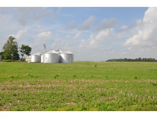 Property photo 102 - SPECTACULAR CROPLAND EASTERN INDIANA AUCTION 1,112 +/- ACRES OFFERED IN 13 TRACTS IN WAYNE AND UNION COUNTIES, INDIANA