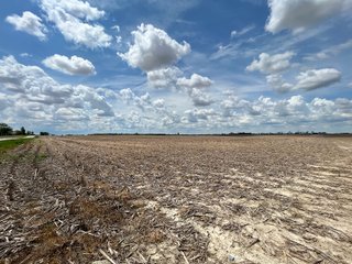 Property photo 81 - SPECTACULAR CROPLAND EASTERN INDIANA AUCTION 1,112 +/- ACRES OFFERED IN 13 TRACTS IN WAYNE AND UNION COUNTIES, INDIANA