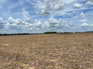 Property photo 85 - SPECTACULAR CROPLAND EASTERN INDIANA AUCTION 1,112 +/- ACRES OFFERED IN 13 TRACTS IN WAYNE AND UNION COUNTIES, INDIANA